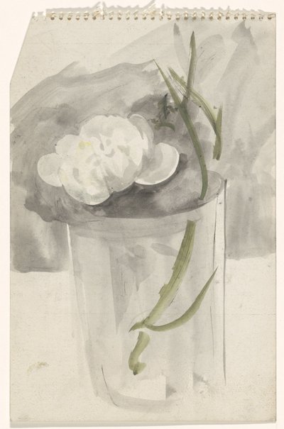 Fleur blanche dans un verre - Carel Adolph Lion Cachet