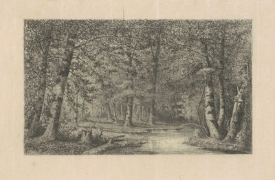 Forêt de Hêtres - Carl C. Brenner