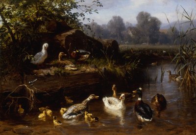 Canards et canetons dans un ruisseau - Carl Jutz