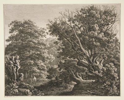 Paysage avec arbre noueux - Carl Wilhelm Kolbe the elder