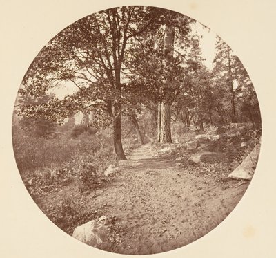 Dans la vallée de Yosemite, vers 1878. - Carleton Emmons Watkins