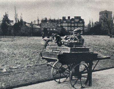 Pommes de terre dans les jardins de Kew, 1941 - Cecil Beaton