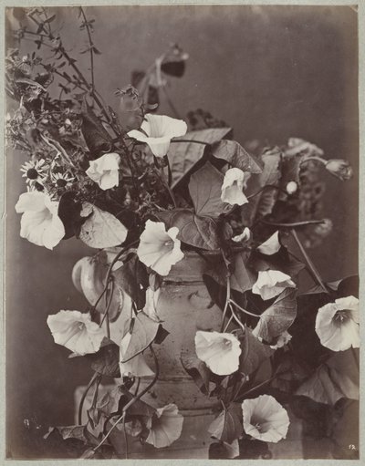 Étude de fleurs avec pot de Cologne - Charles Aubry (manner of)