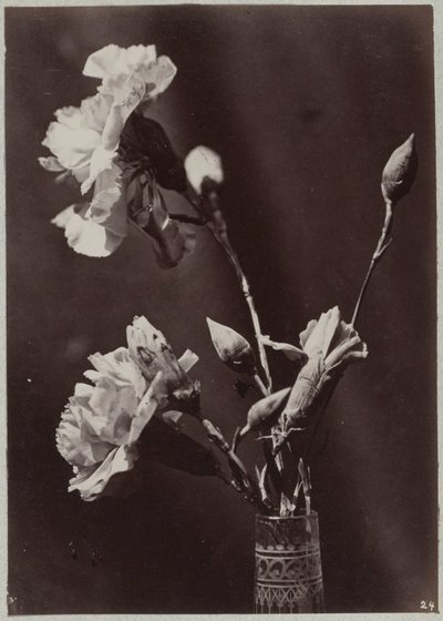 Étude de fleurs avec vase en verre - Charles Aubry (manner of)