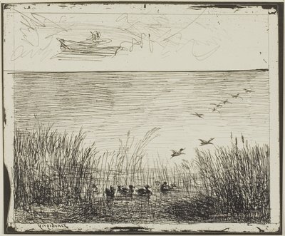 Marais avec des canards - Charles Francois Daubigny