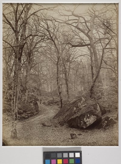 Fontainebleau, c.1870 - Charles Victor Famin