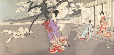 Album de femmes du château de Chiyoda, 1895 - Chikanobu Yoshu