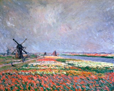 Champs de Tulipes près de Leiden - Claude Monet