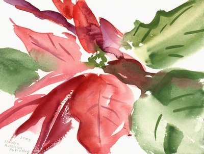 Poinsettia, 2003 (aquarelle) - Claudia Hutchins Puechavy