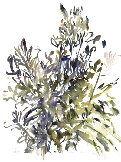 Senecio et autres plantes, 2003 - Claudia Hutchins Puechavy