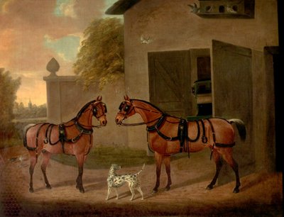 Carrosses, chevaux et chiens - Clifton Tomson