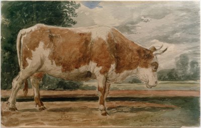 Vache de profil - Constant Troyon