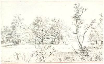 Paysage avec forêt et prairie - Dankvart Dreyer