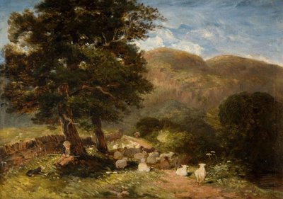 Garder les moutons, Bettws-y-Coed, 1849 - David Cox the elder