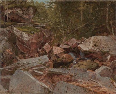 Étude, North Conway, New Hampshire, 1851 - David Johnson