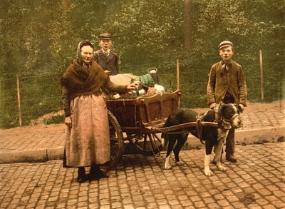 Vendeurs de lait, Bruxelles, Belgique - Detroit Publishing Co.