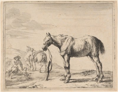 Un cheval attaché à un poteau - Dirck Stoop