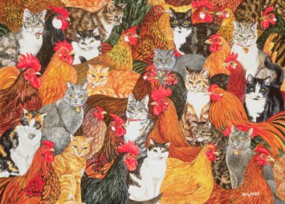 Poulet-Chats - Ditz