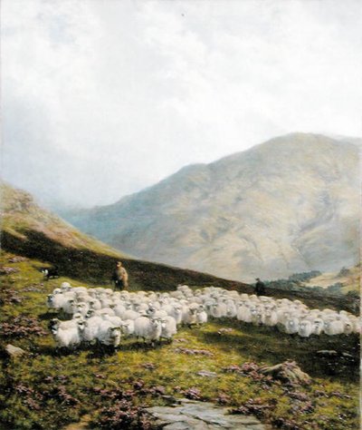 Berger et Moutons, Perthshire - Dixon Clark