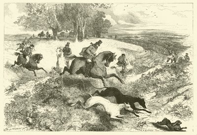 Course de lièvres en Angleterre (gravure) - Edmond (after) Morin