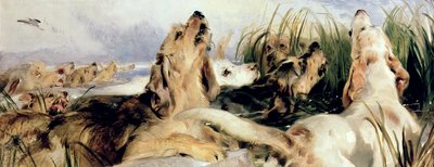 Chiens de loutre - Edwin Landseer