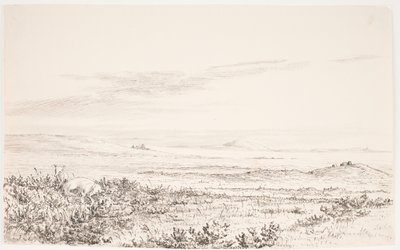 Paysage de lande vallonnée avec deux renards - Eleonore Christine Tscherning