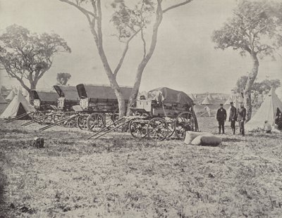 Camp des ingénieurs, Langwarrin, Victoria - English Photographer