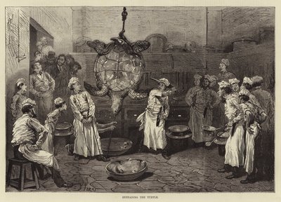 Décapitation de la tortue - English School