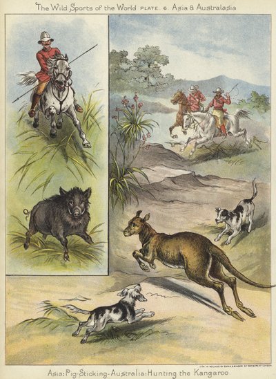 Chasse au sanglier et au kangourou - English School