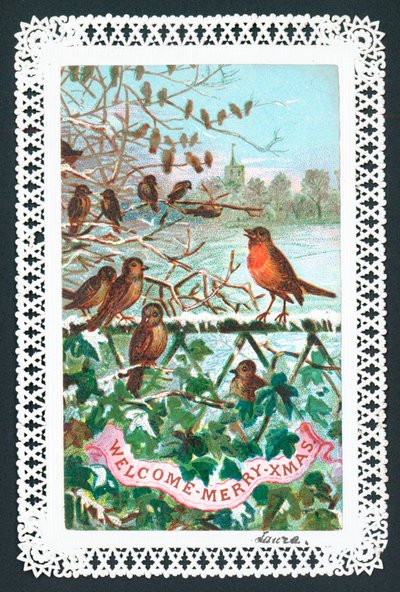 Rouge-gorge chantant sur une branche, carte de Noël - English School