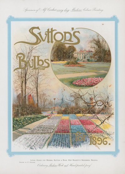 Bulbes de Sutton pour 1896 - English School