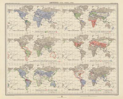 Zoogéographie : Amphibiens, Anoures, Urodèles, Apodes - English School