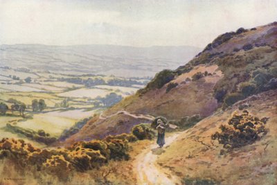 Ballard Down, Swanage - Ernest William Haslehust