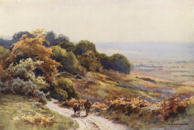 Burley Moor - Ernest William Haslehust