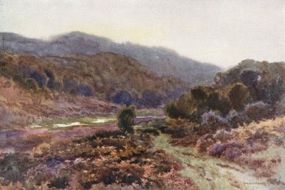 Près de Broomy Water - Ernest William Haslehust