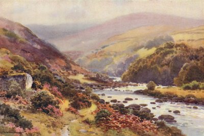 Dartmeet - Ernest William Haslehust