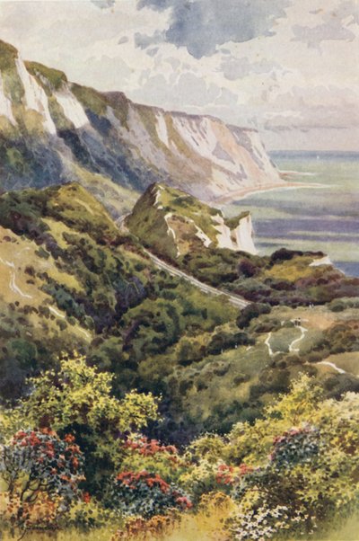 The Warren, Folkestone - Ernest William Haslehust