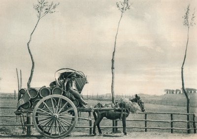 Porteur de vin dans la Campagne, Rome, Italie, 1927 - Eugen Poppel