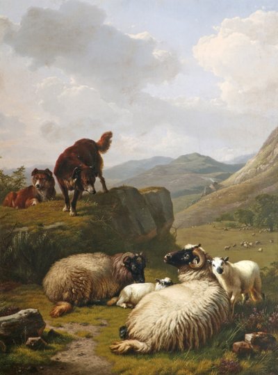 Moutons et chiens - Eugene Joseph Verboeckhoven