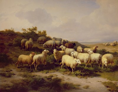 Moutons sur la côte, 1878 - Eugene Joseph Verboeckhoven