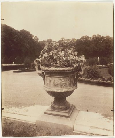 Versailles, Vase par Ballin, 1902 - Eugène Atget