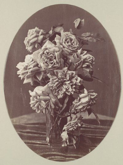 [Roses], vers 1875 - Eugène Chauvigné