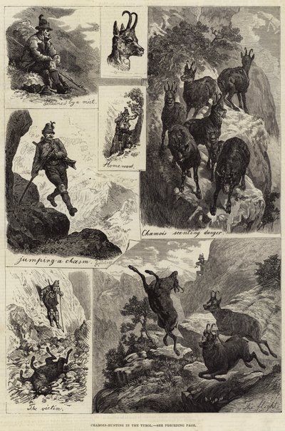 Chasse au chamois dans le Tyrol (gravure) - European School