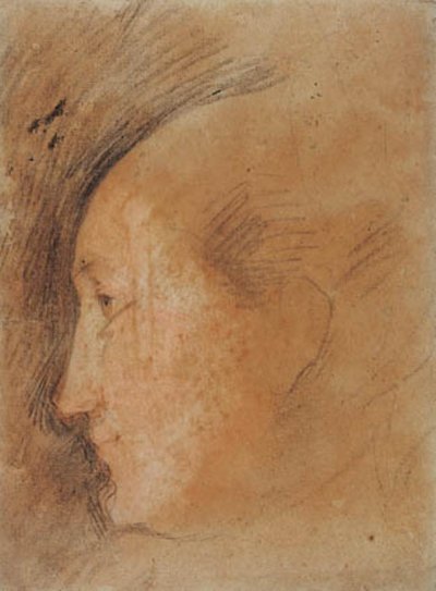 Tête de femme de profil à gauche - Federico Barocci