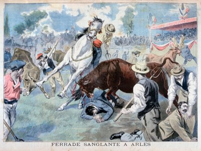 Incident de corrida, Arles, France - Fortuné Méaulle