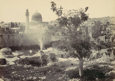 La mosquée d