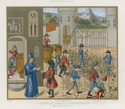 Culture de la vigne et fabrication du vin - French School