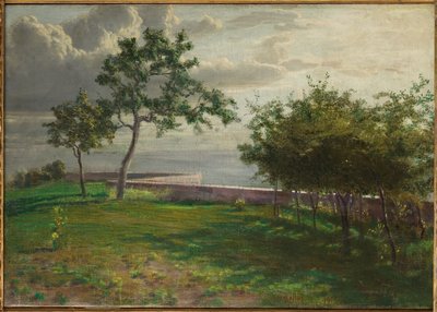 Vue avec des arbres et un petit mur - Gaetano Bellei