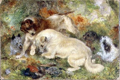 Terriers et Lapins dans un Bois - George Armfield