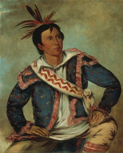 Há-tchoo-túc-knee, Tortue mordante, un métis - George Catlin